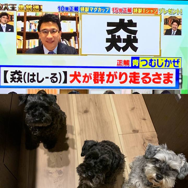 009e7a4a 0eee 4944 b95d 23d4c5ebcbe4 1590576199583