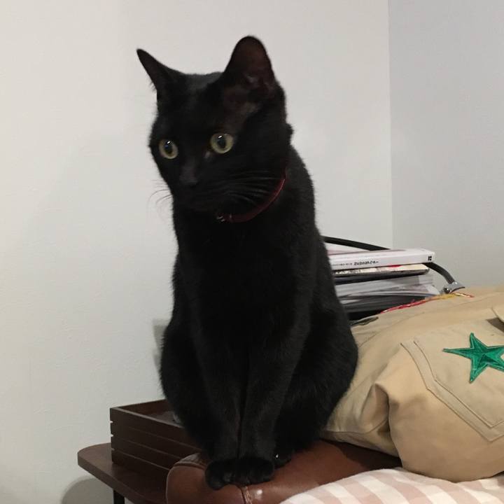 009ebfc9 6104 42cf aaa2 7134ae8eb9b5 1512644684164