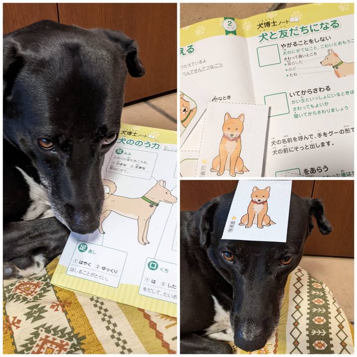 009ef164 984a 4c2a af3a ed7dc13c29e2 1662634532636