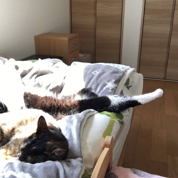 009f3d3e 73cf 44f0 9c94 5fa45e98e44b 1584234675918