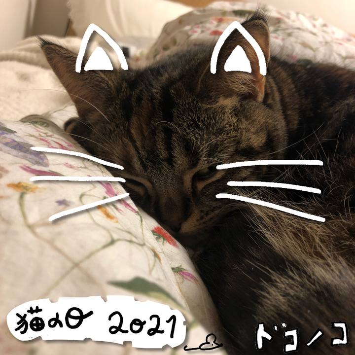 009f785c 6831 409a 8838 be82f3240c48 1613998961520