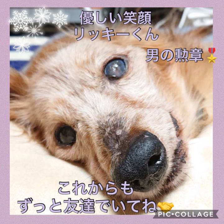 009f8266 32f3 4f9b afd4 7b930fbc9cc2 1545542810470