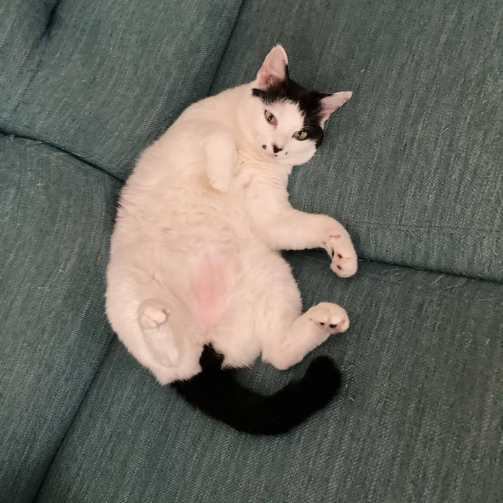 009ff7aa a0bd 4d2a 8634 c3a9a2c50a7d 1760078974223