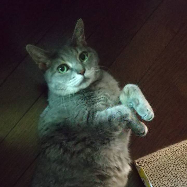 00a00593 cbb8 465e 8933 ae4e47de57f4 1658726801527