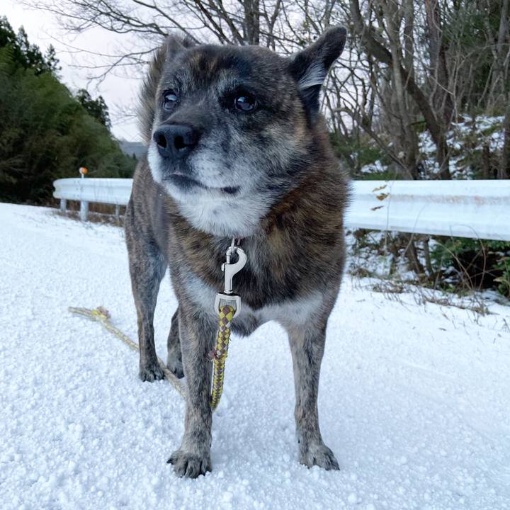 00a00a07 bb18 4f90 a2fe 0997b889d7e2 1608159897242