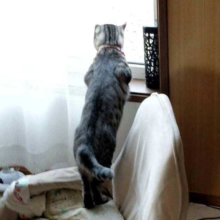 00a00f7b 7abb 42f6 82b9 62391dc160e8 1682439007477