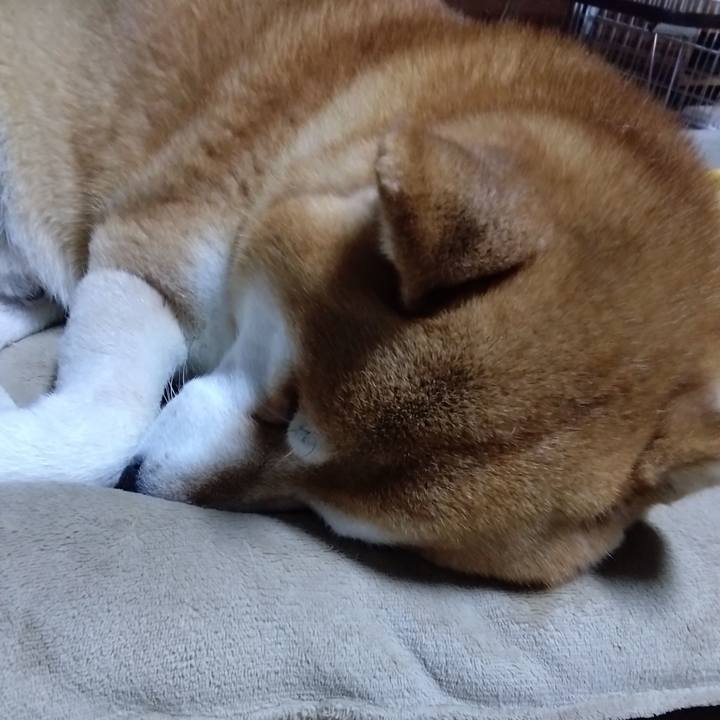 00a01cb7 4853 40db b8b9 46c8784b130f 1702903213202