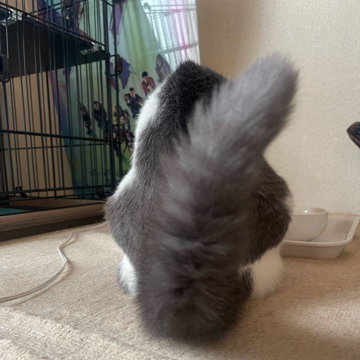 00a02bef bfe2 4c6b 8bc3 76727fd41a00 1755044826892