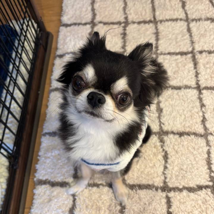 00a02d9a 2650 46c5 b566 3963b57a17ed 1739637142772