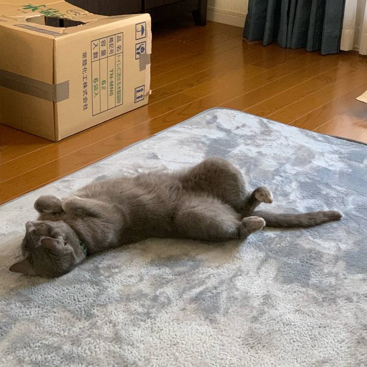 00a085ed e389 4af3 8549 4afb230c876f 1618797423675