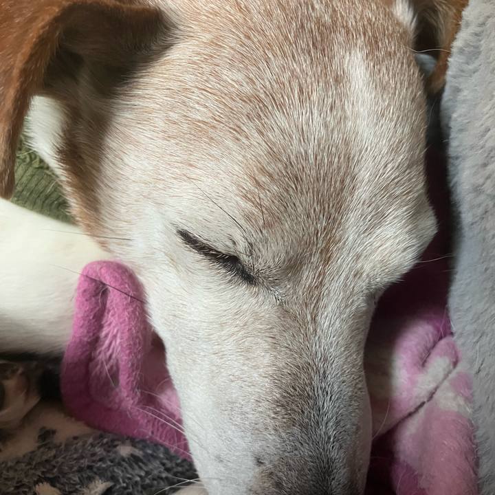 00a09e56 6315 40f2 95a2 73df1f018959 1768781175307