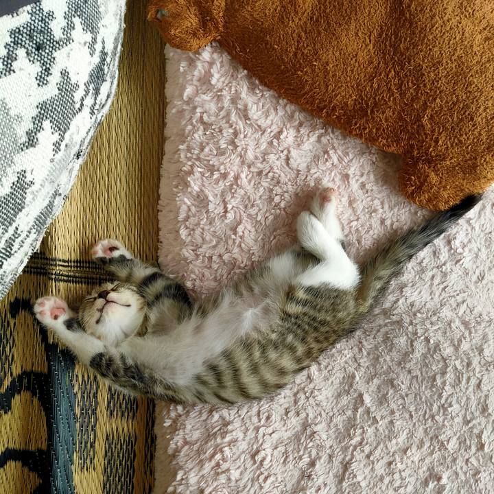 00a0fa73 875f 4e65 af9a 32b8ea4bb105 1623562424771