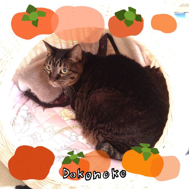 00a12384 4086 4a34 a0ba a6cdcc1cf2fc 1761817250768