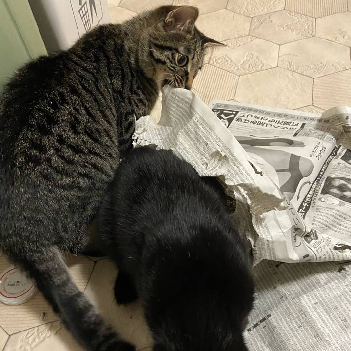 00a12e27 fa1b 42d8 b762 f11903259621 1618570925480