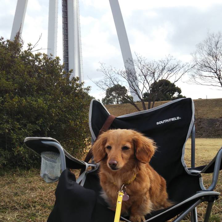 00a13bd4 b3fc 40b9 aeb4 594ef1e805eb 1613291558317