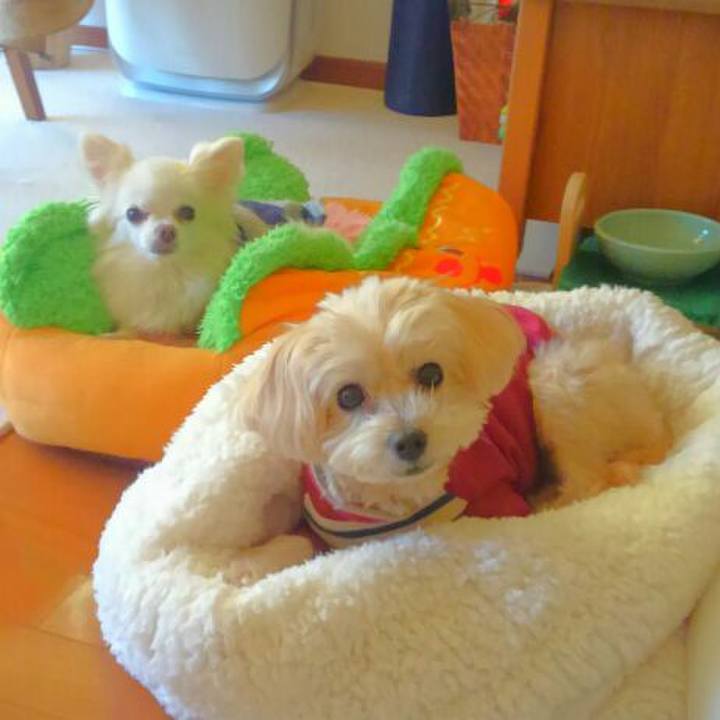 00a1591e 58f2 42c7 9450 94f04b5347a3 1545286782888