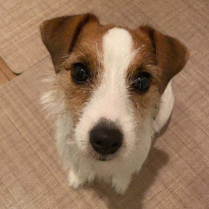 00a16bd2 14b1 4cab aef5 687c8af64df0 1639703524025