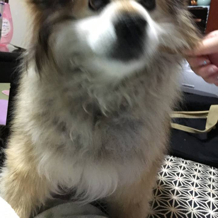 00a16f54 7d41 4692 9915 2520fa212d48 1600052867669