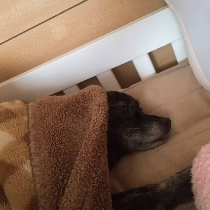 00a1869d e604 4db1 a11f 5d56e70eb361 1553254753752