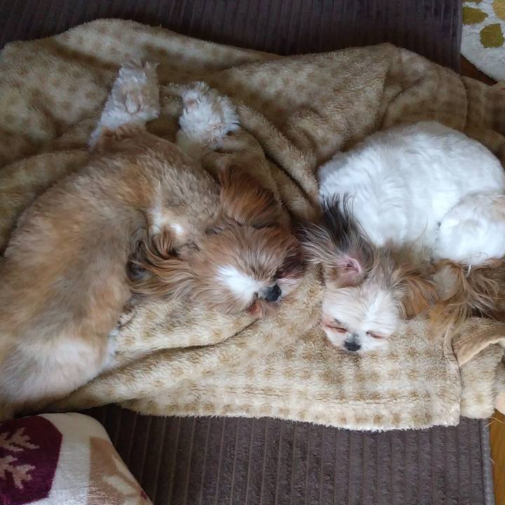 00a1fd2c dc50 4433 a2b4 5c8f12610db1 1589335593242