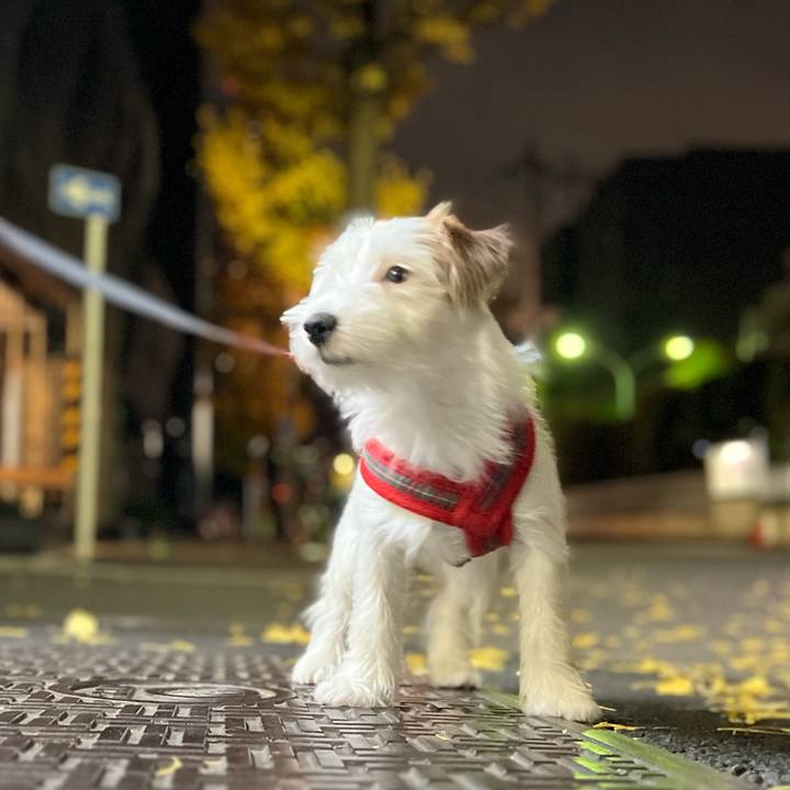 00a244a2 b49a 4e05 829b 0fde9b7e9195 1702614183186