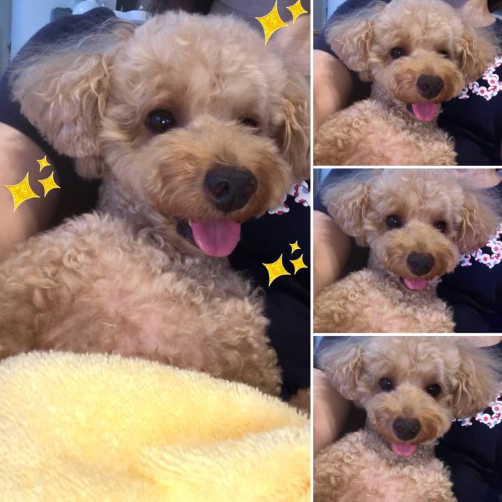 00a25017 8569 4f1e b63a b165b6722f18 1599211713368