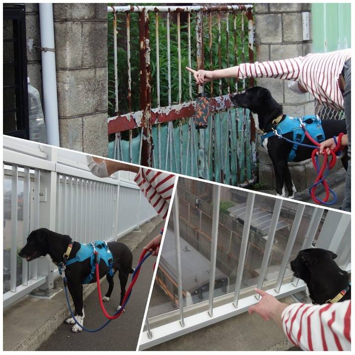 00a25863 50fe 4149 a17b e66e27ad4b48 1622457908613