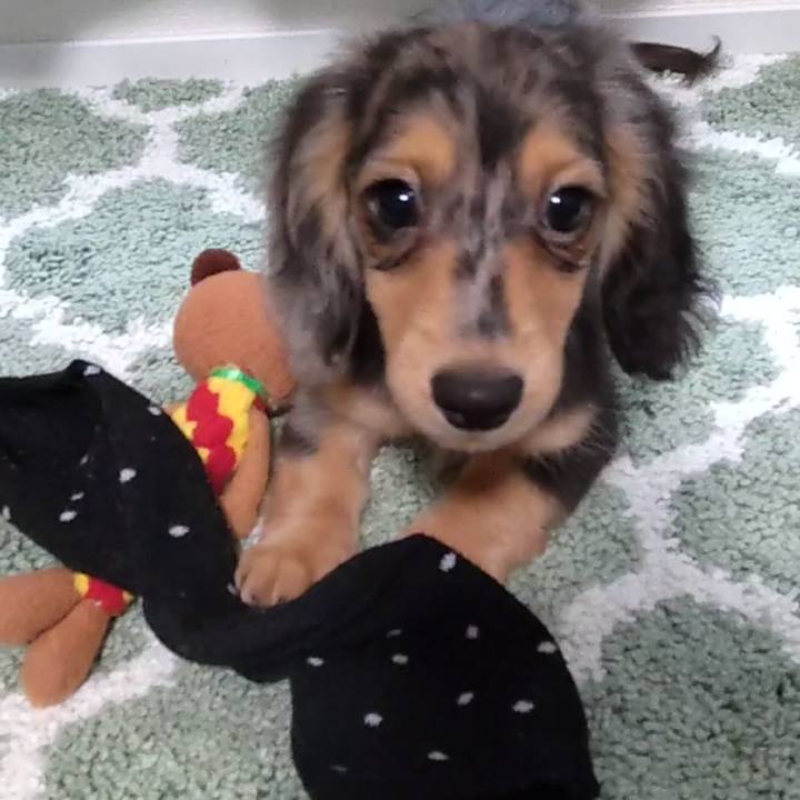 00a29fd9 4ba7 4896 bf7a dbbf72a62802 1701088141052