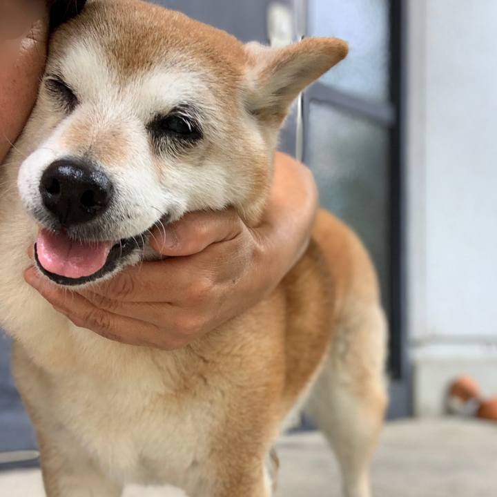 00a2aaf5 dd57 412f 9b6f a4b746c6b026 1560470599118