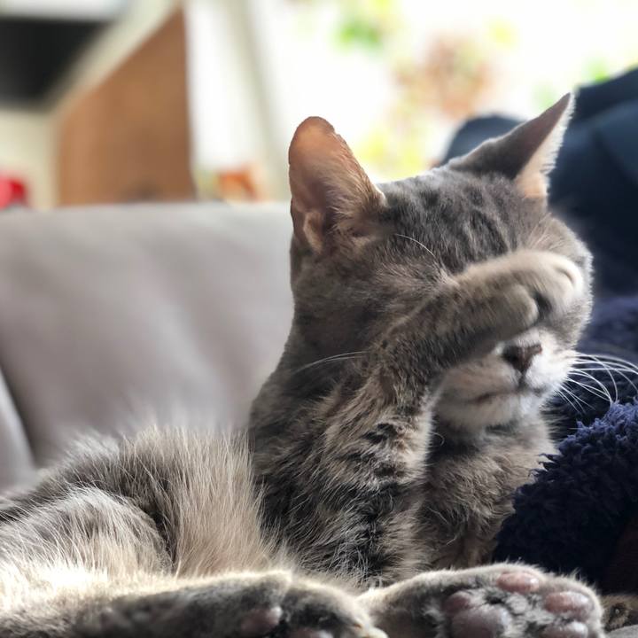 00a30dcd 1770 448c b2bf d1d41e38e305 1551514653821