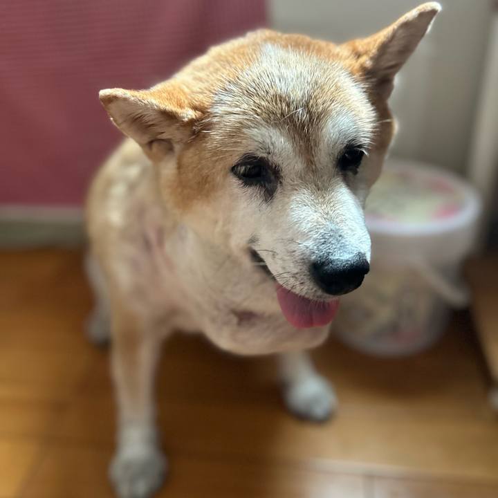 00a32799 ff02 4036 8bd5 c01ed0969f78 1756952893187