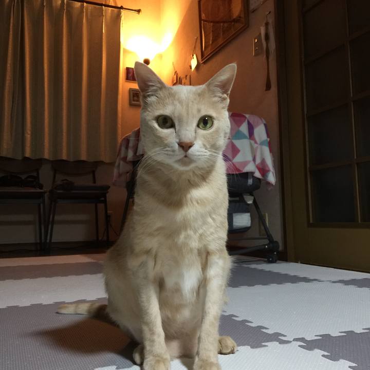 00a374fc f050 4921 9c51 754e4750b836 1672742118151