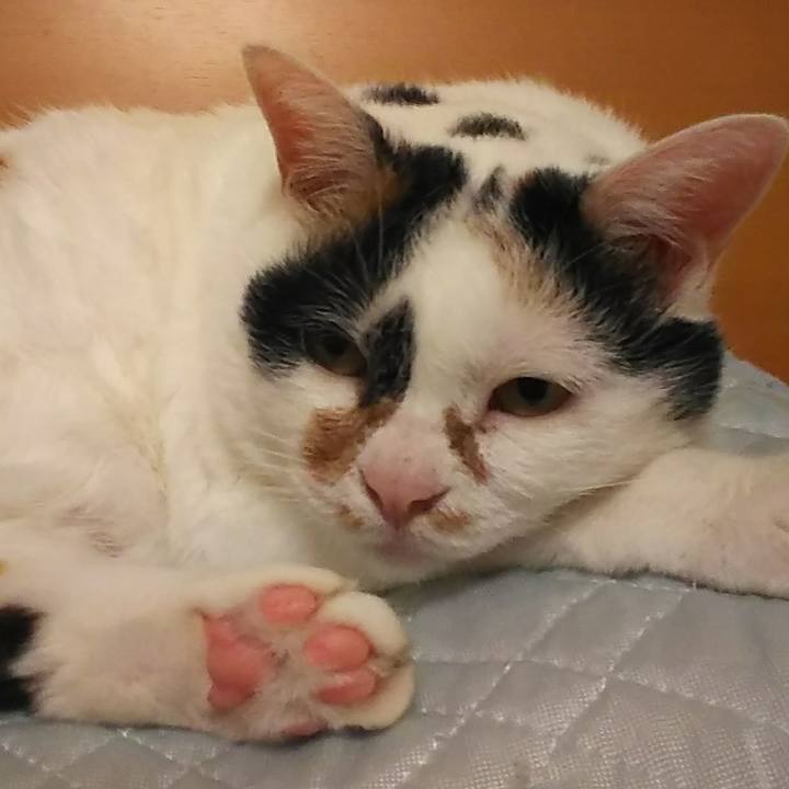 00a39753 935f 4bee 87a9 cc0a5ab04f7e 1533132570307