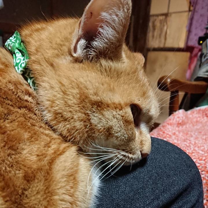 00a3f530 52dd 4011 98c8 df87f67ab2b0 1580115881657