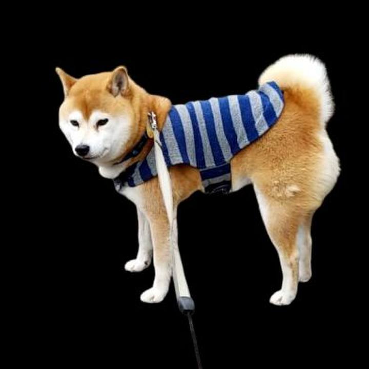 00a41700 054f 440a 9377 c2ade8d13b6e 1576548691391