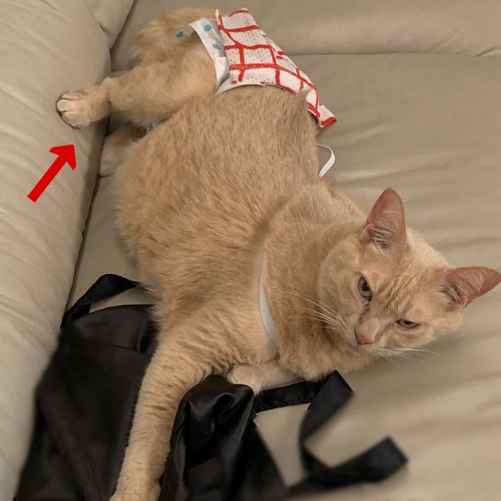 00a420bd cec4 406c b51e fd989e7ec9a8 1567850349935