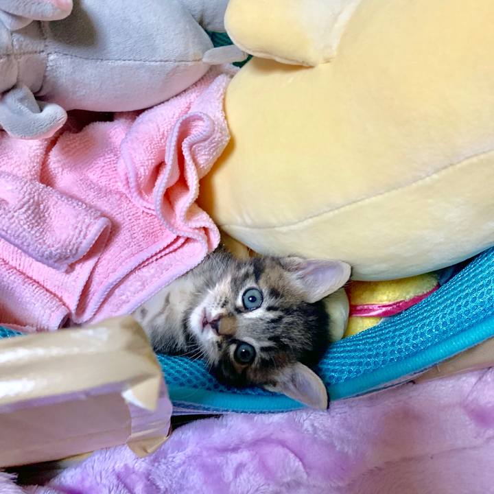 00a43e7d dca0 4a78 a553 9ee5246224e8 1563929901021