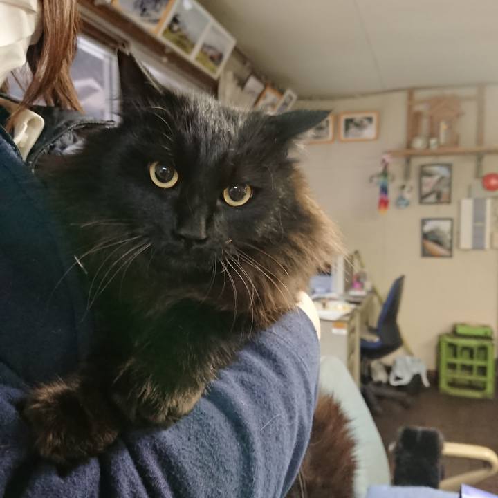 00a440b9 bd6d 4f6a 8378 de7fa9544f08 1583189277747