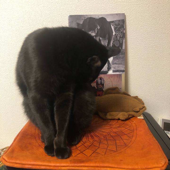 00a45581 6be8 451f 91c0 bad83c97737e 1577443131452