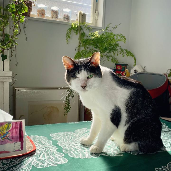 00a48eaa 1e70 4017 9bf9 e031c1ac79b6 1607400596589