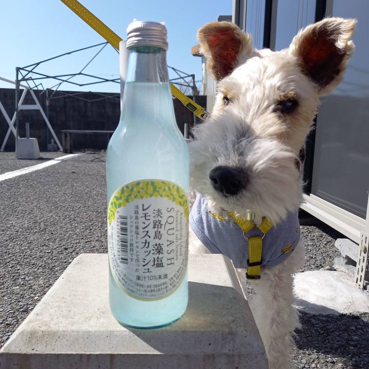 00a4a442 c43a 43bf a2cc 4663d2e5d141 1651467627737