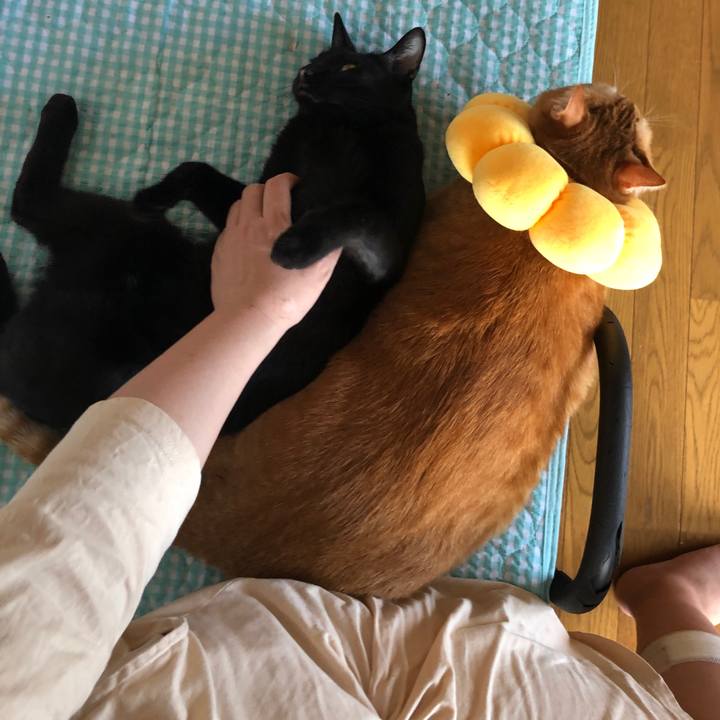 00a4a692 827e 4677 955e f06620d9ea49 1660118737258