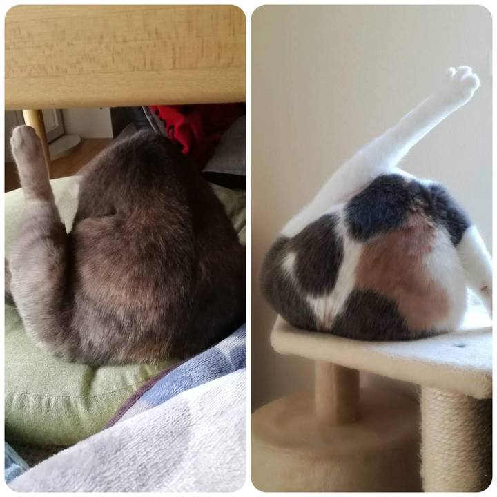 00a4aeac 7039 4ada 987d 13298f50234c 1554860993231