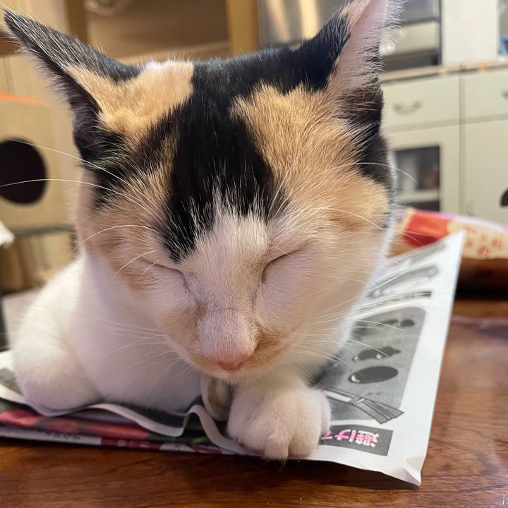 00a4fb35 9da0 492b bbf4 fa0785163484 1671454369305