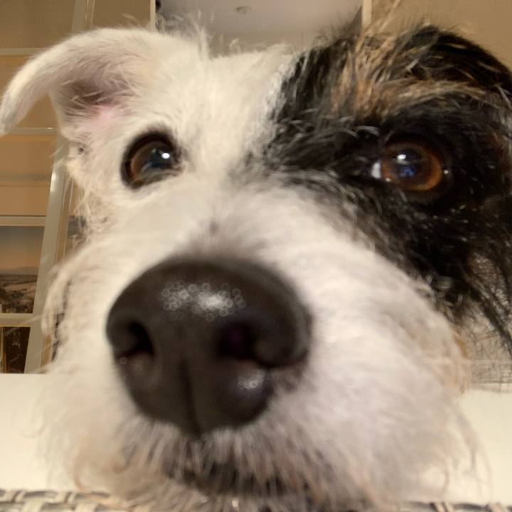 00a5311b 869f 4170 8bc1 fc24e9483180 1604922696199