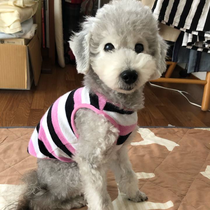 00a53376 597a 4545 b85f e3f5c283a437 1571134222270