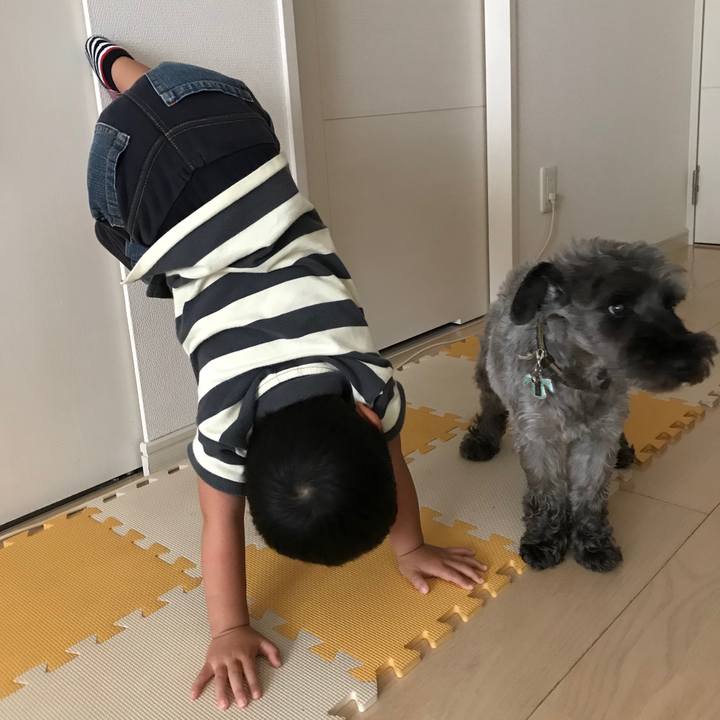 00a54b7b 1ae5 4809 ab7d b33f55a7a312 1534002370495