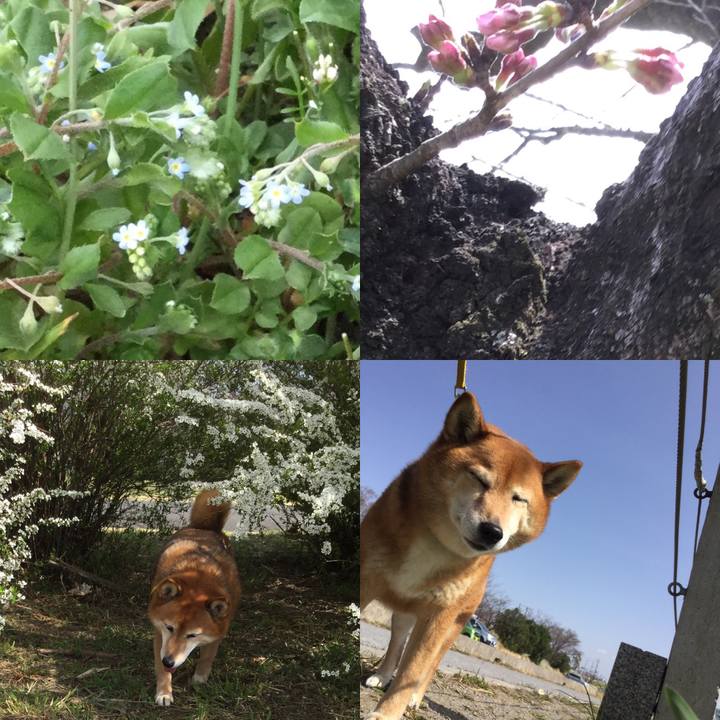 00a56ffb 4b64 41e0 b6f4 9b77914b69a9 1553243382014