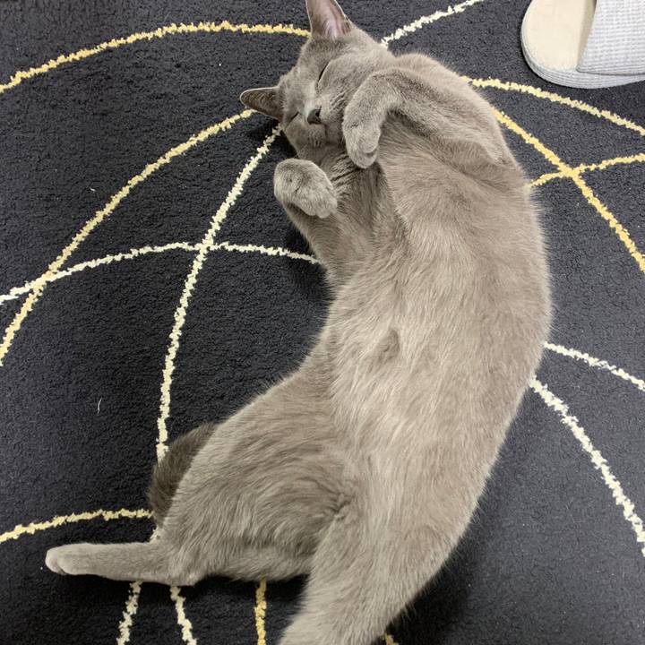 00a5cf02 a8af 43ce 913c a313f779199d 1652770980916