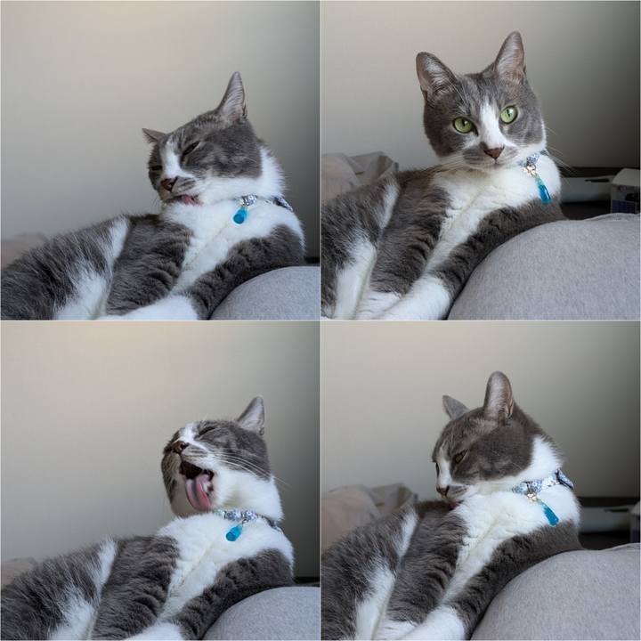 00a5d001 56fe 4902 8648 ddbf19e795e7 1729414493525